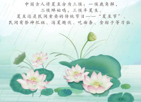 夏至怪味合加盟，愿所有美好如约而至