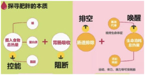 纤熹减肥加盟，激素胖的减肥指导