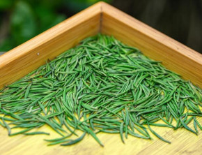每天一杯大益茶，让医生无处找碴