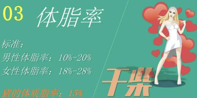 纤熹减肥加盟