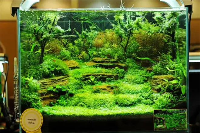 水草店加盟