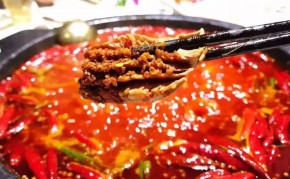 麻辣重点火锅生意为什么这么好？原来老板的管理很人性化！