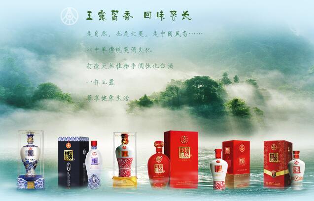 珍品玉露加盟