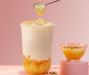 奈雪的茶加盟投资费用多少钱？