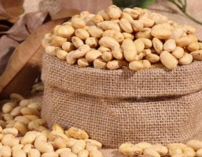 圣客炒货加盟总部有选址扶持吗？