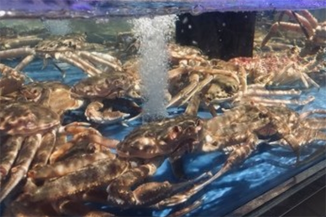 鲜悦来海鲜超市加盟