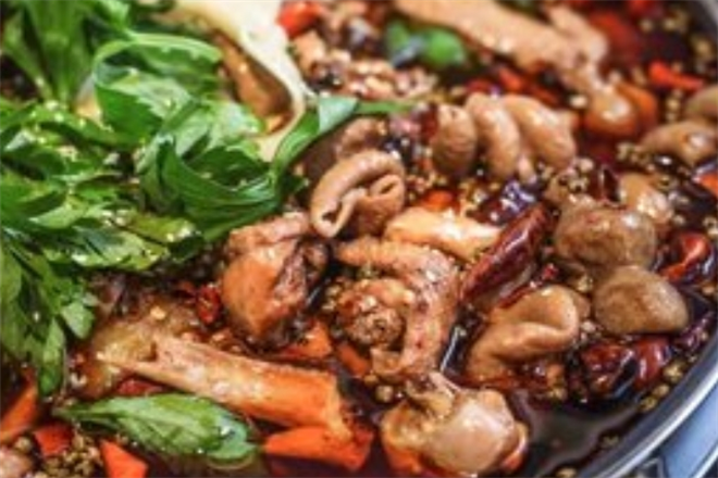 肥肠鸡加盟