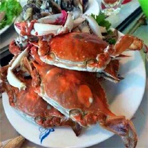 白沙湾海鲜