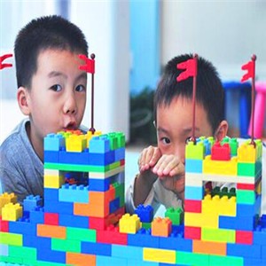 韦哲乐高