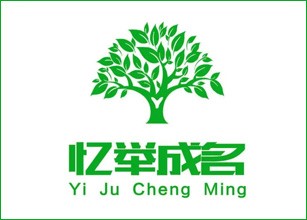 忆举成名