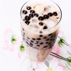猫小森奶茶