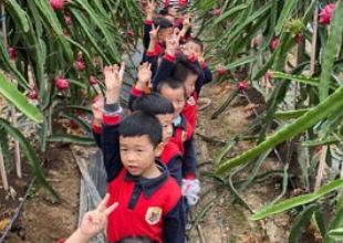 火龙果幼儿园
