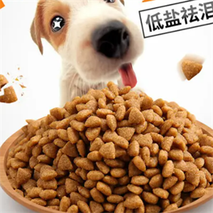 狗粮