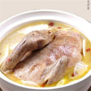 毛哥老鸭汤