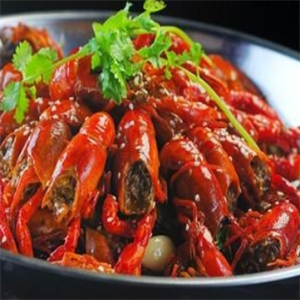 莫琪小龙虾
