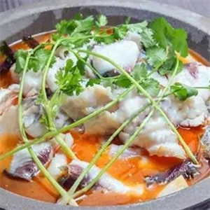 重庆石锅鱼